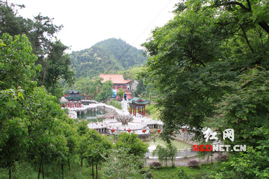 怀化大兴禅寺举行放生活动