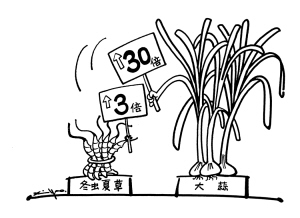 风水轮流转_新闻中心_新浪网