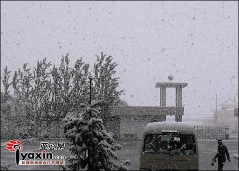 新疆大部气温将明显上升 北疆可能引发融雪型