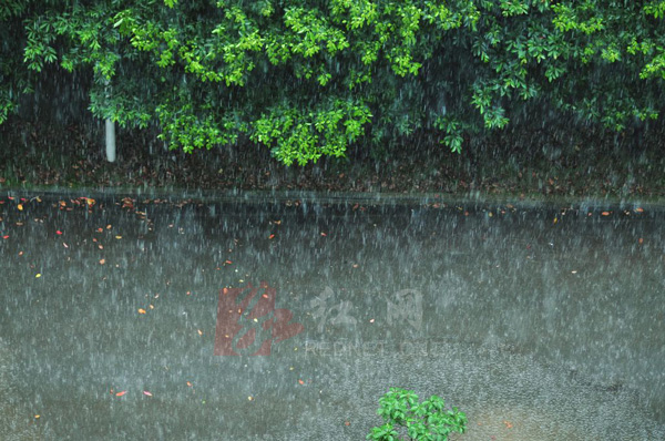 雨景(图)