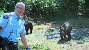 加拿大非法大麻种植园用黑熊当看守(图)