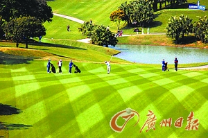 花都赛区赢得赞誉