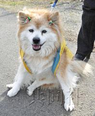 �ձ����ٹ����25���Ƽ�¼Լ�൱������116��