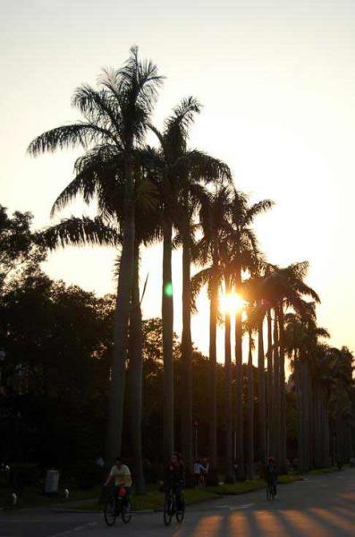 ̨�������ϴ�½ѧ��½����̨���10�����֤��