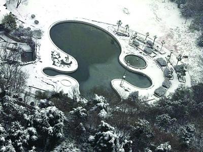 ѩ�������