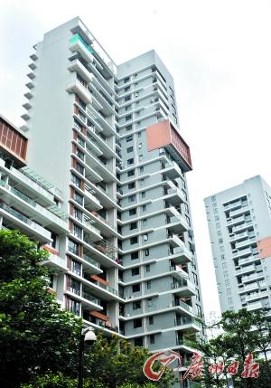 ����¥������