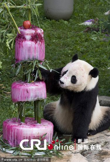 ����è"����""����"����������������չ�����о�