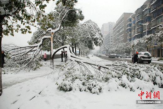 �Ϸ���������ǿ��ѩ���ֵ�����ѩ����������