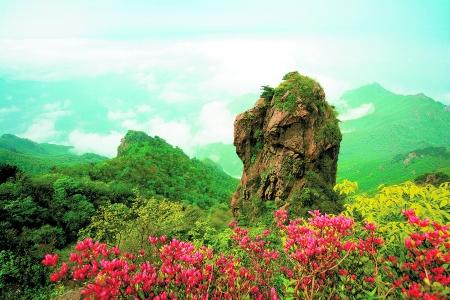 ���ɽ�Ĳ�����