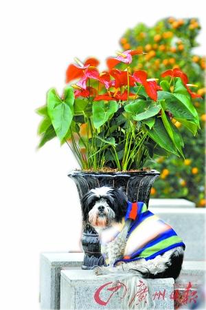 ��˭�����ҿޡ���������