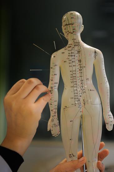 一名医生在经络穴位人体模型上演示针灸手法