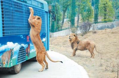 ���͵ĸ�������