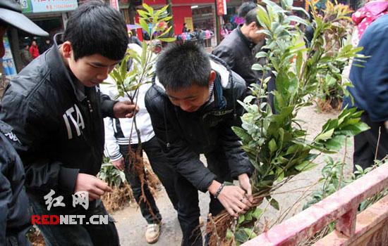 ����10��ѧ���á�ѹ��Ǯ��ֲ��ѹ������