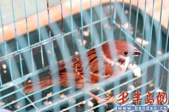 ����Ƽ�����С��ȸ�������˽����һᳪ��