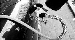 ȫ������פ��������Ա�����Ʋ���ȫ