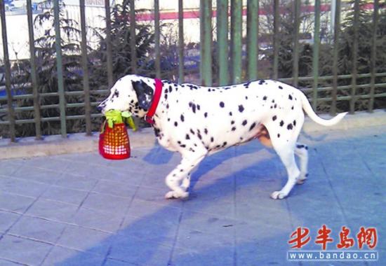 �ߵ㹷���������·�˷׷�פ��ۿ�