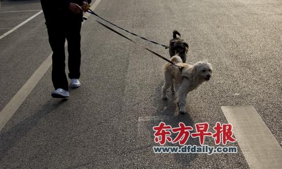 ��Ȯ�������������ջ�ͨ��