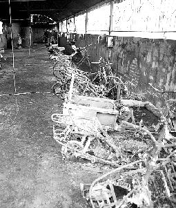 �����߾ּ���Ժһ������