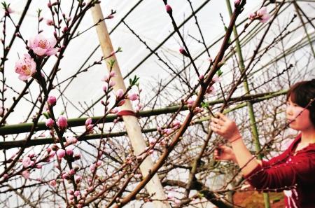 �����һ���ǰ�㴺ɫ