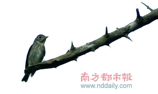 ������̤�����ȥ