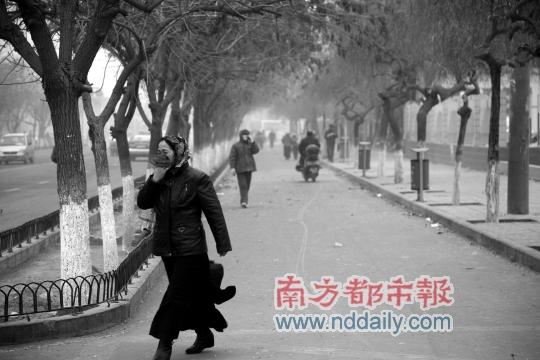 �½������յ�����ɳ��Ϯ��