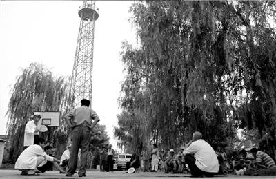 Ӧ���ճ�����������ȵ���