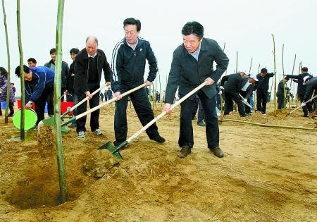 ����һ��ֲ��ʱ������԰������