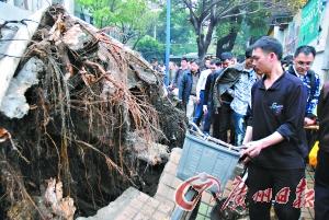 �հ������������������·