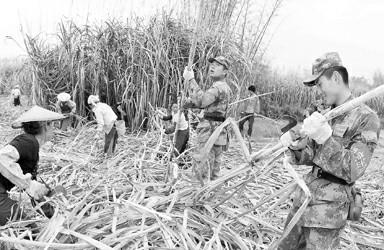 ��ӯ��������æ