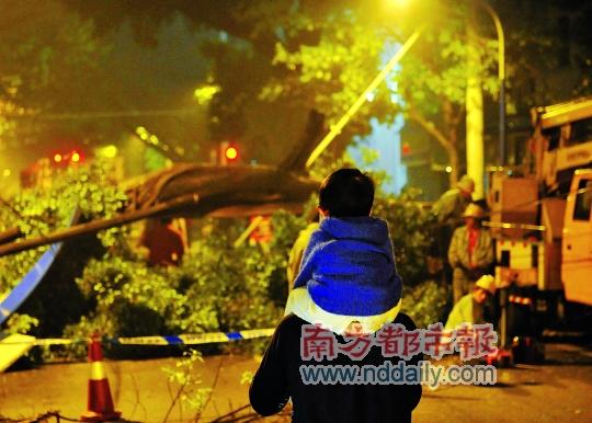 �������������ݶ�·