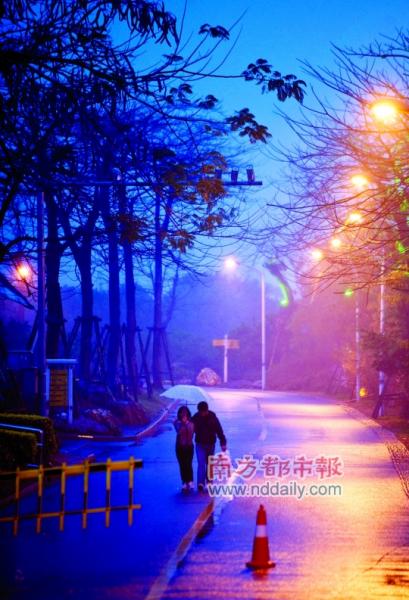 �����Գ�