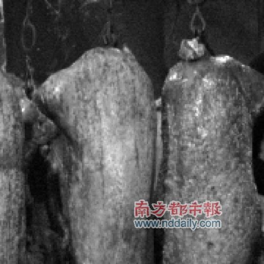 �����������Ǽ�˳��������΢��׬ߺ��