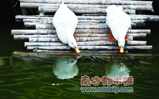 ��������˳���