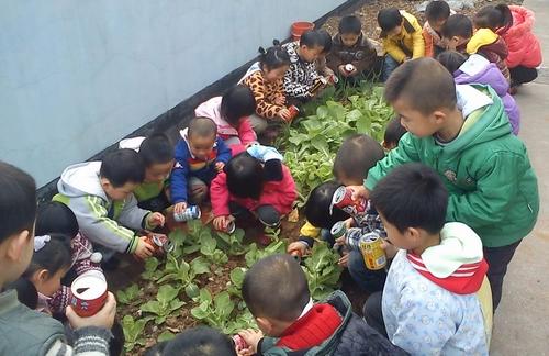长沙一幼儿园开辟蔬菜种植基地 体验式教学备