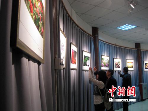 ����ĵ������Ц���й�����ĵ���Ļ�������