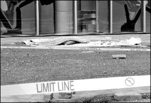 ����΢����¥���鲣��׹��Ա�������ż١�����