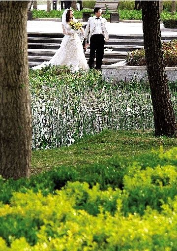 植物园拍婚纱照_太原植物园