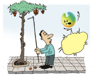 维护市容环境--不要乱摘路边树上的果子