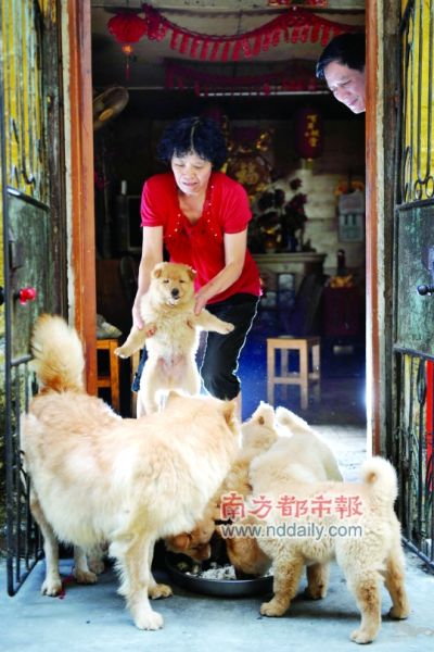 ˳��Ŭ�������