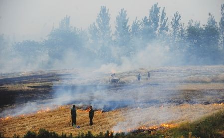 ���ա�����