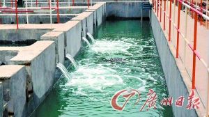 ����ӡ�����