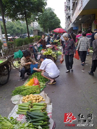 湘潭建设北路一怪:马路菜场生意红火 农贸市场