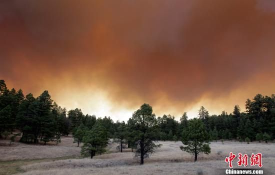 美亚州山林大火过火面积近47万英亩 创历史纪