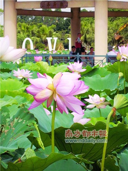 ����8�䲢����һ��