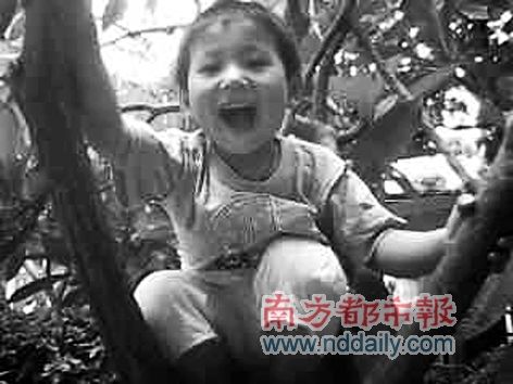 3��С�к������