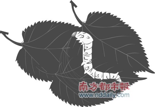 ������ҵ�����ϲ��ѡ�ɣҶ���Ϲ�