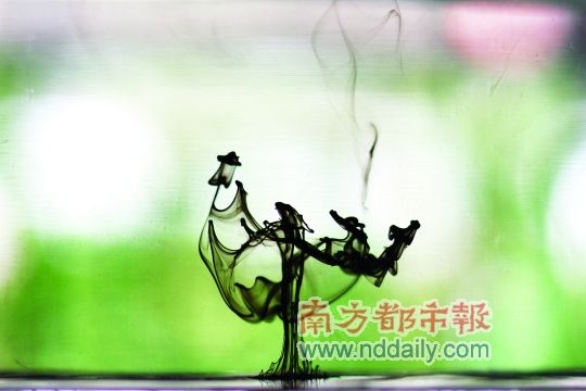 Ũ�顰ī����