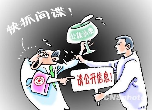 联合早报:拨开中国三公消费的迷雾