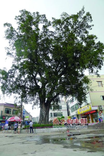 长湴村人口_广州市白云区长湴村