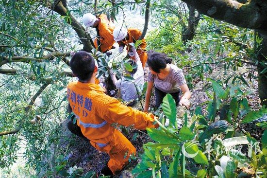 八名驴友被困梧桐山消防官兵生死大营救